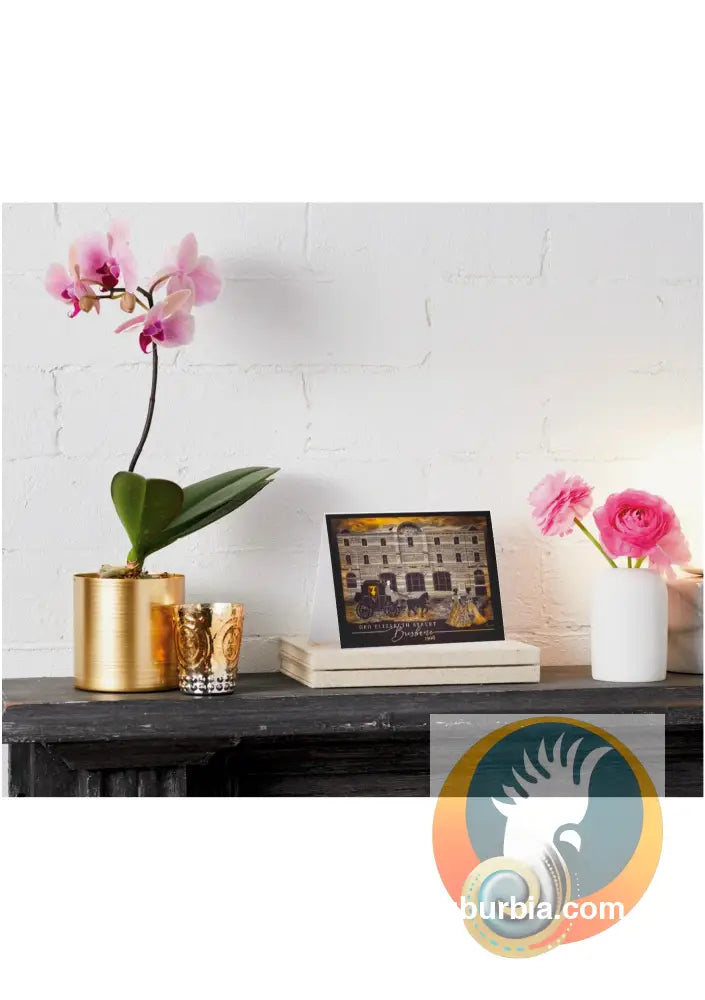 Brisbane CBD: GPO Elizabeth St Greeting Card Pack / Set of 5 - Physical good