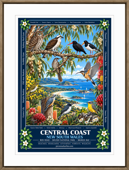 Terra Australis: Art Print: NSW - “Central Coast”