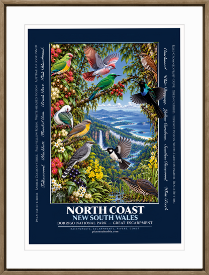 Terra Australis: Art Print: NSW - “North Coast”
