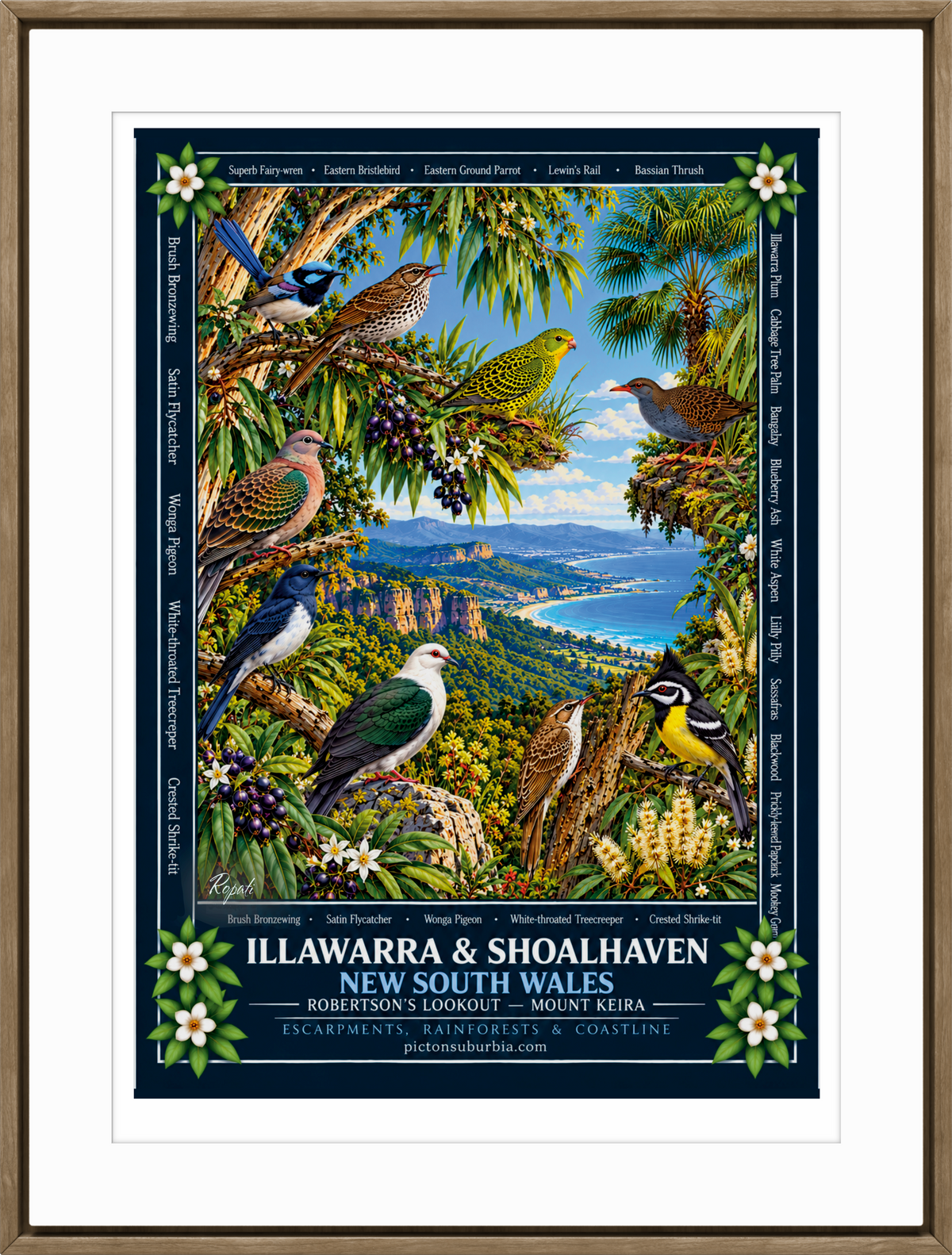 Terra Australis: Art Print: NSW - “Illawarra & Shoalhaven”