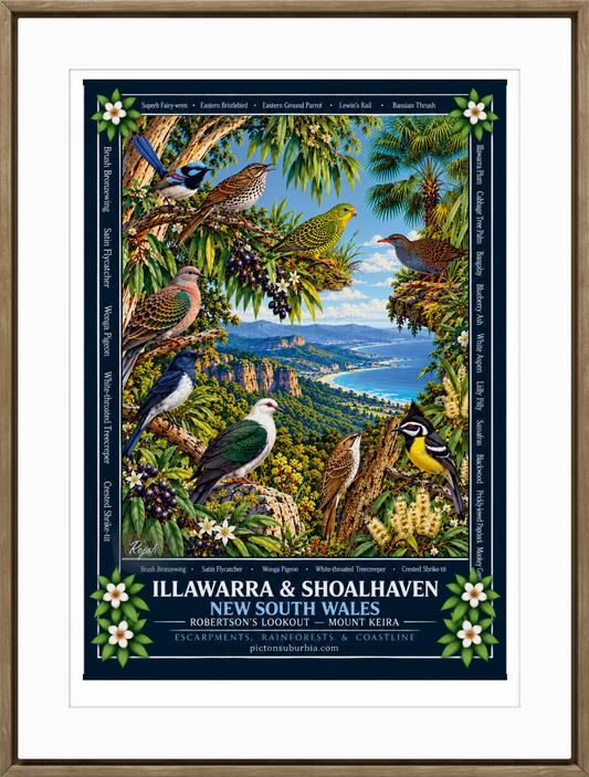 Terra Australis: Art Print: NSW - “Illawarra & Shoalhaven”