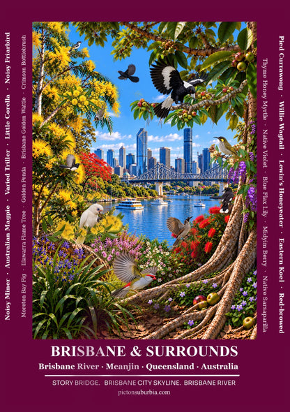 THE QUEENSLAND COLLECTION