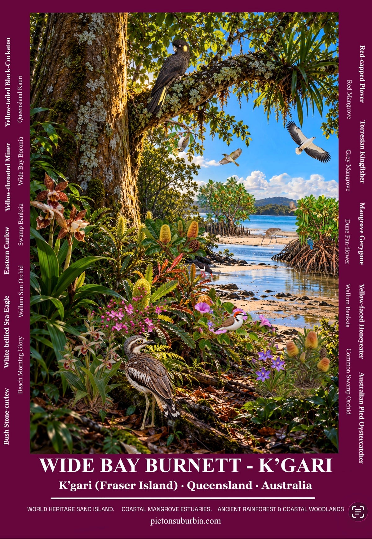 THE QUEENSLAND COLLECTION