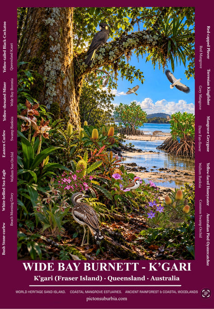 THE QUEENSLAND COLLECTION