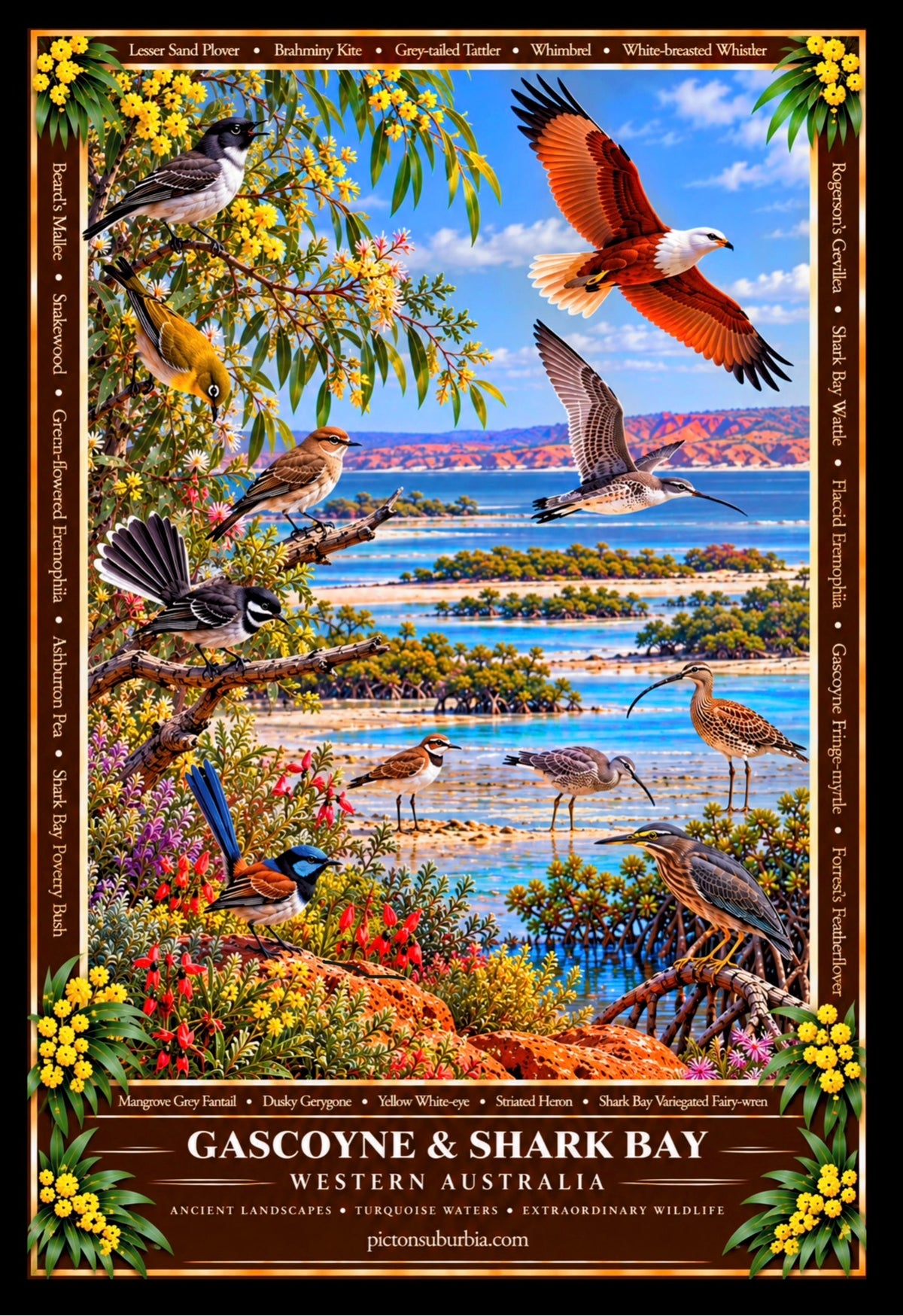 THE WESTERN AUSTRALIAN COLLECTION