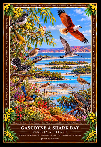 THE WESTERN AUSTRALIAN COLLECTION