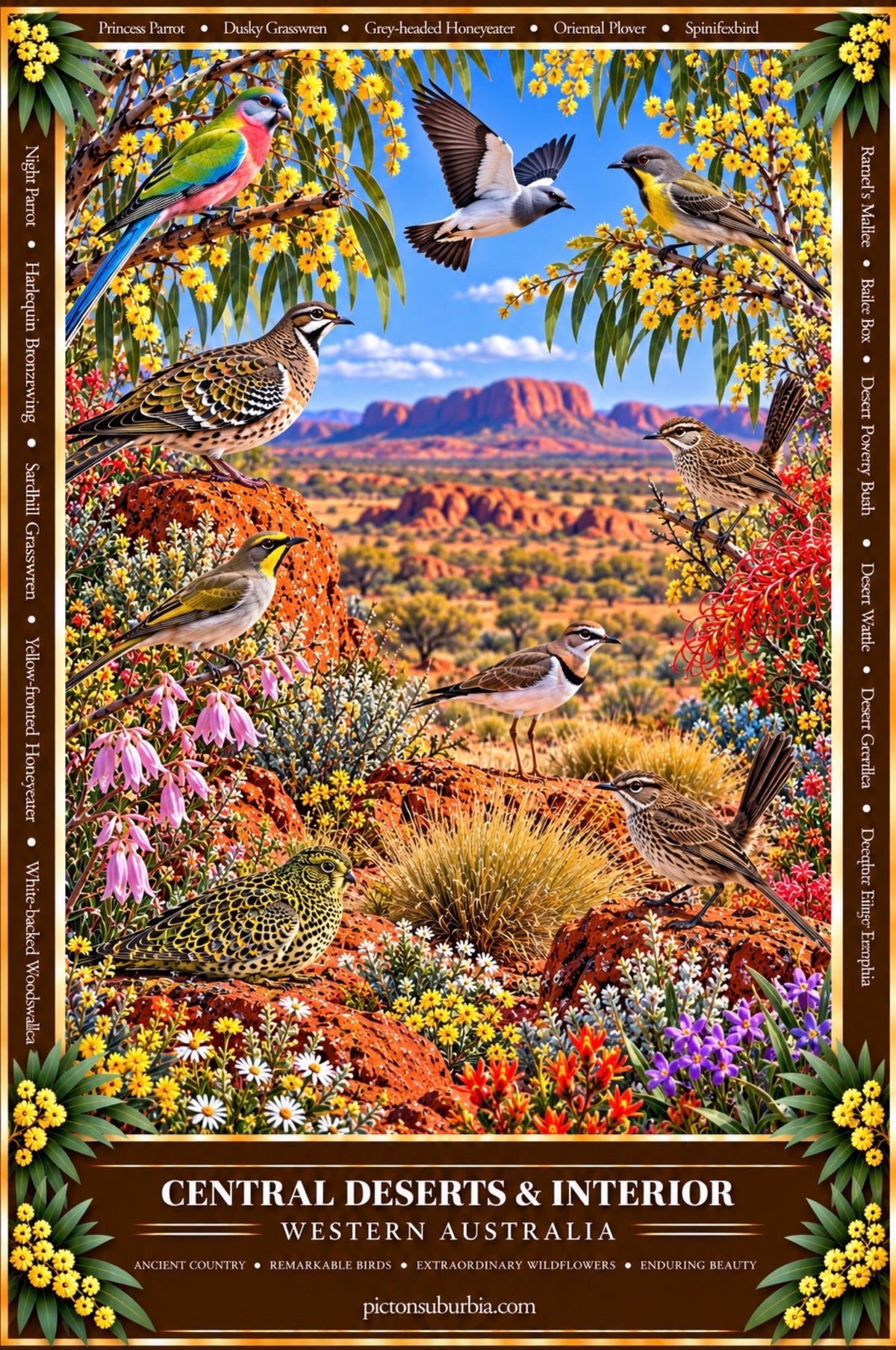 THE WESTERN AUSTRALIAN COLLECTION