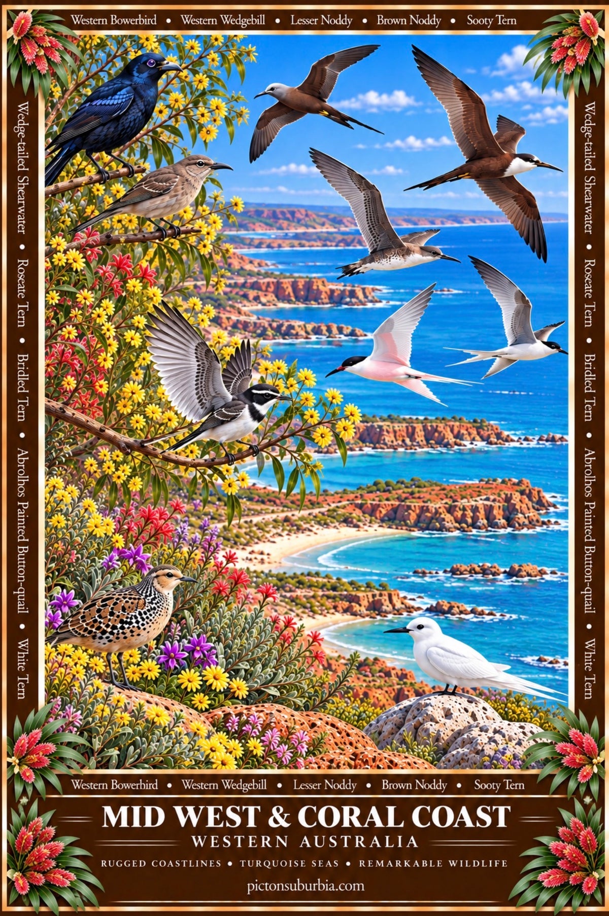 THE WESTERN AUSTRALIAN COLLECTION