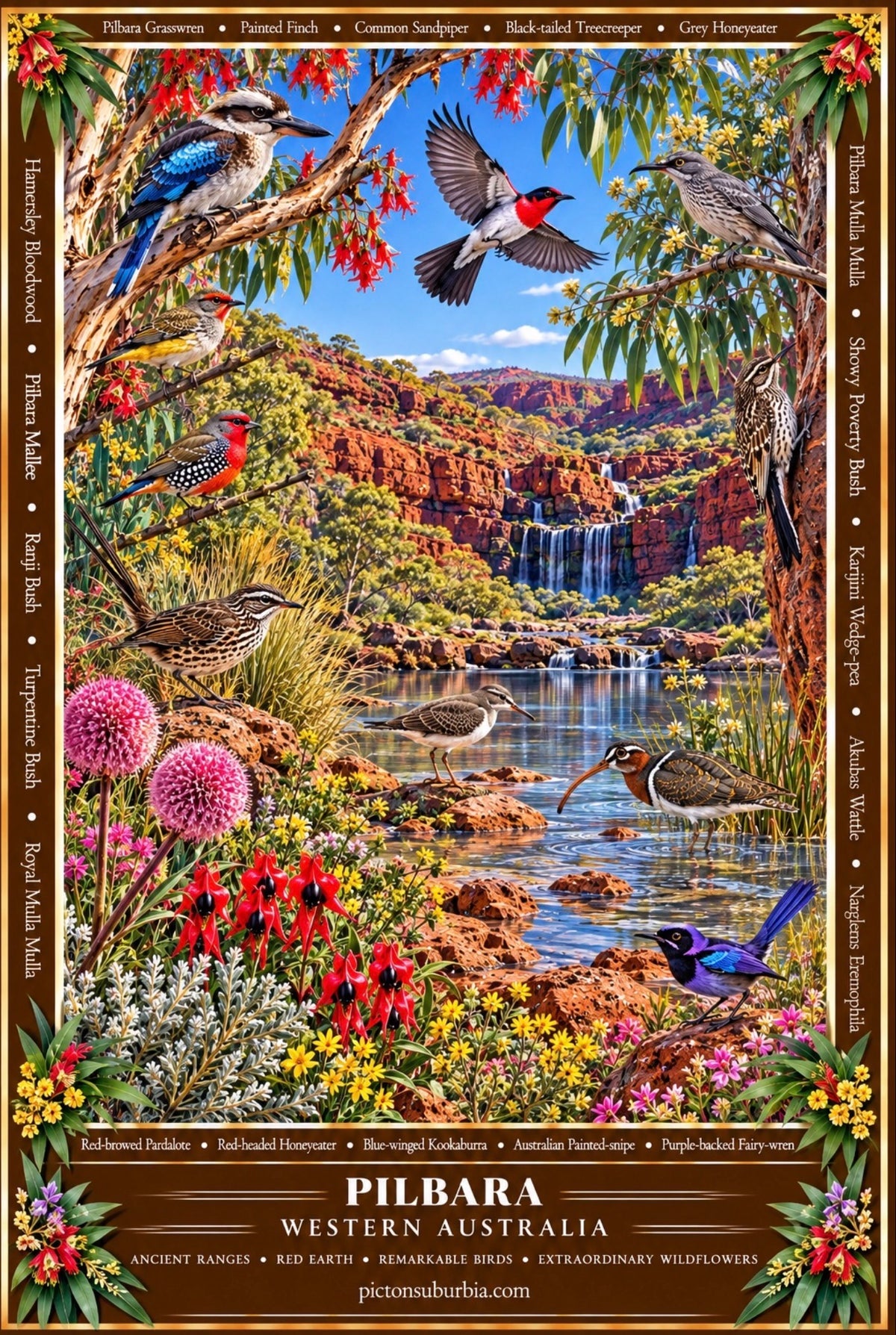 THE WESTERN AUSTRALIAN COLLECTION