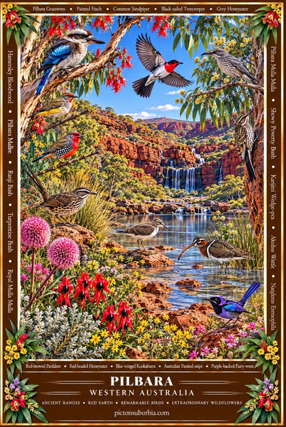 THE WESTERN AUSTRALIAN COLLECTION