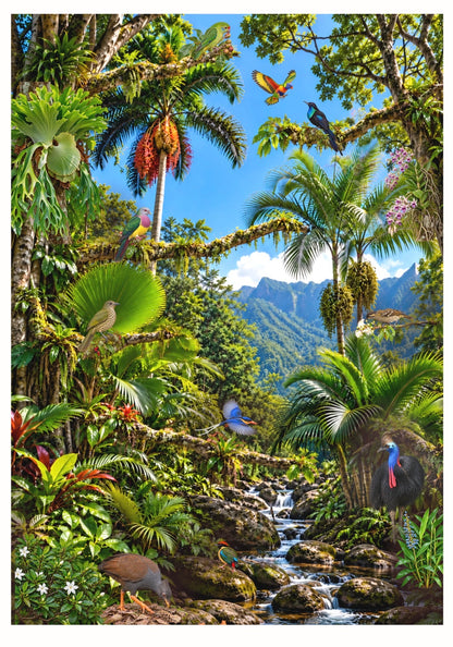 Terra Australis: Art Print “ QLD- Far North Queensland”