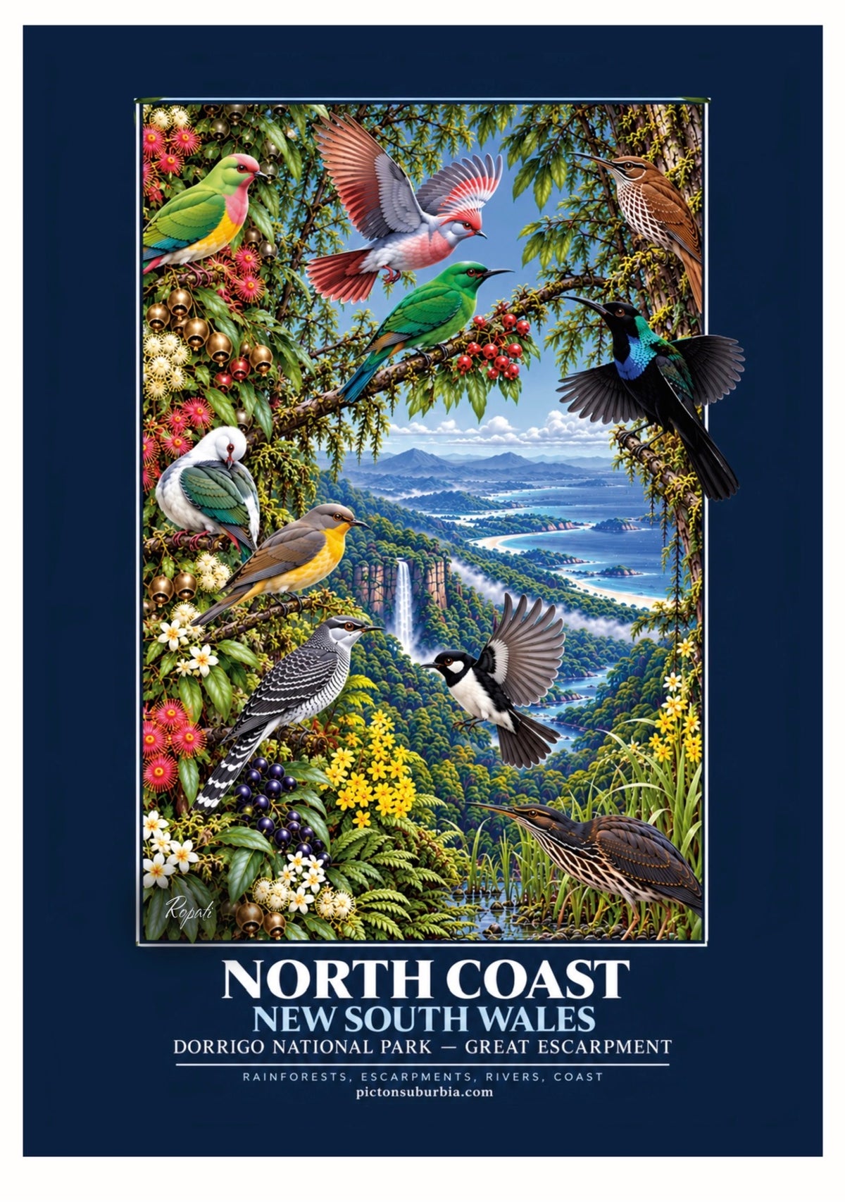 Terra Australis: Art Print: NSW - “North Coast”