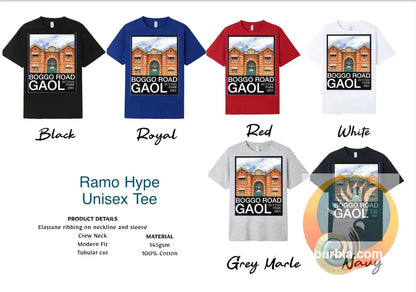 Boggo Road Gaol: Dutton Park - Tee - White / S - T-shirt
